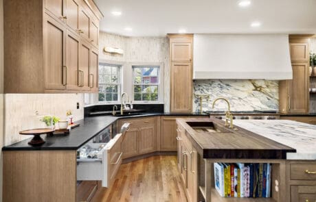 1CC – Kitchen – Sinks with Hidden Appliances